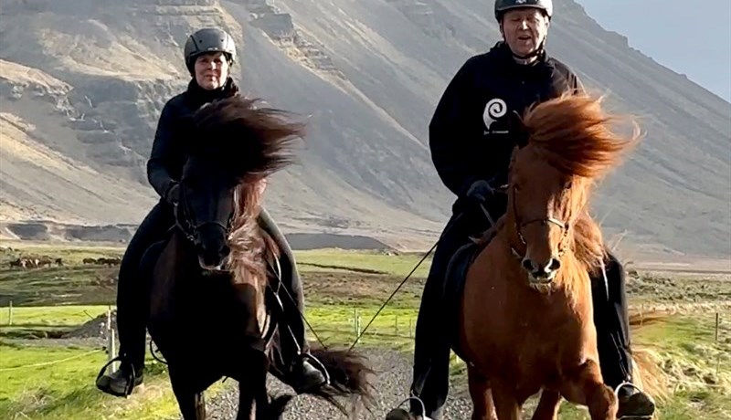 Fylgja eigin sannfæringu