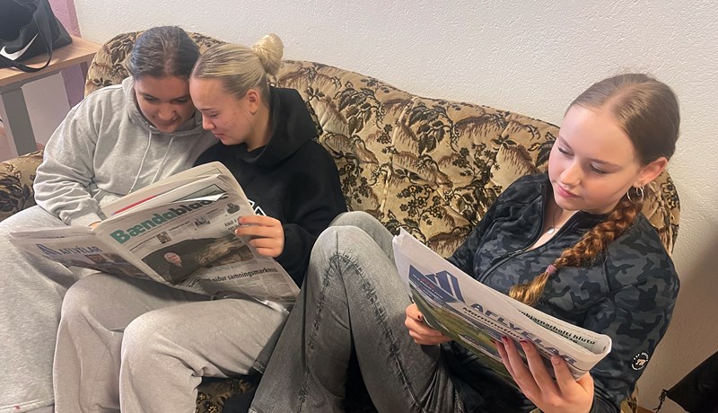 Bændablaðið kennsluefni
