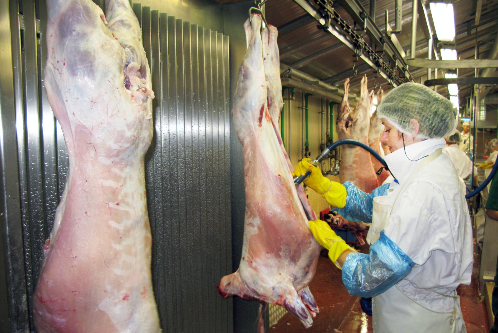 Verð til bænda vonbrigði