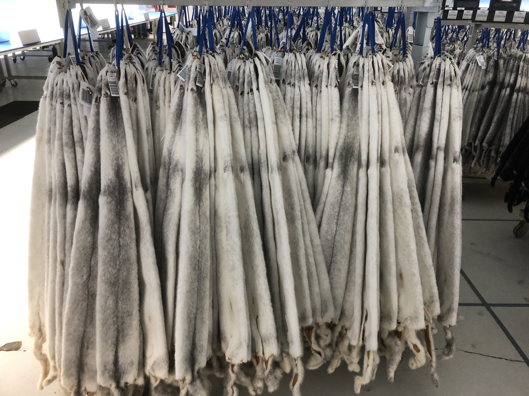 Fáir kaupendur en uppboðshaldarar bjartsýnir og líkur á hækkandi verði