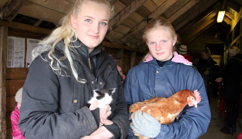 Reka dýragarð heima á hlaði