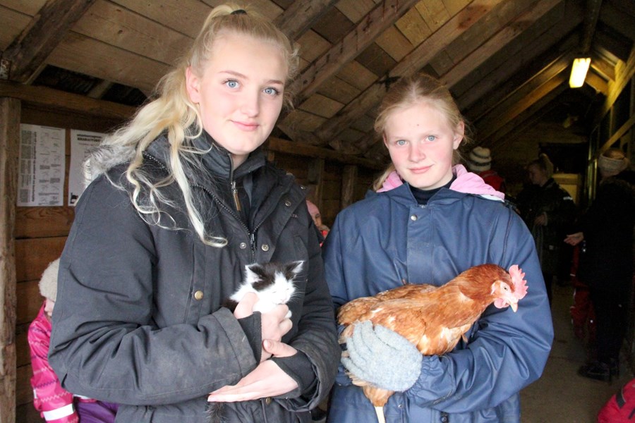 Reka dýragarð heima á hlaði