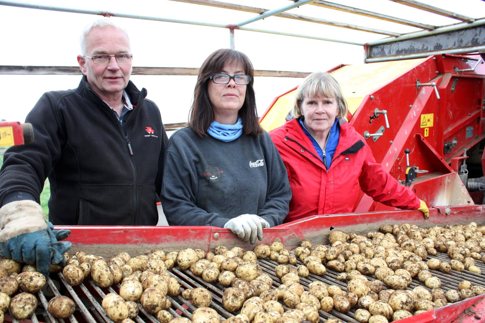 Stórar og fallegar kartöflur í Flóanum
