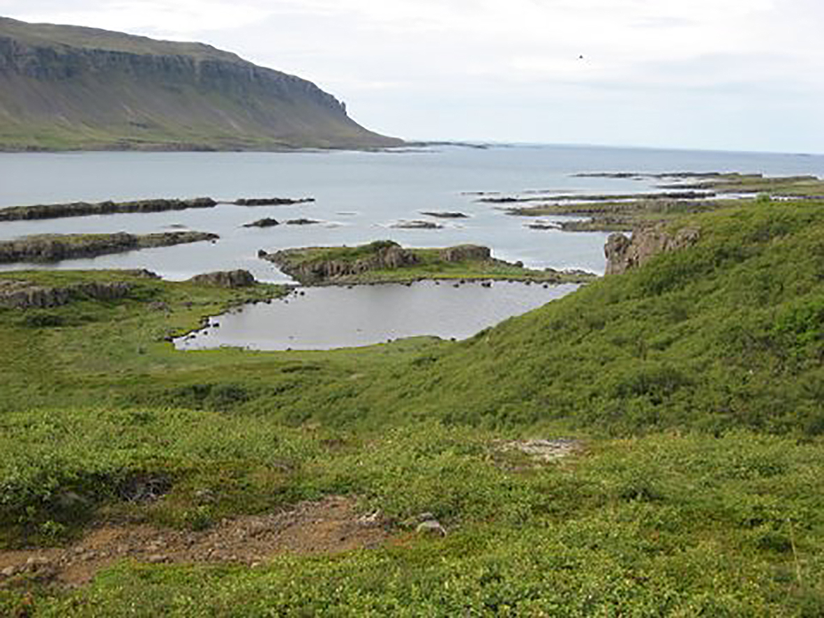 Teigsskógarruglið