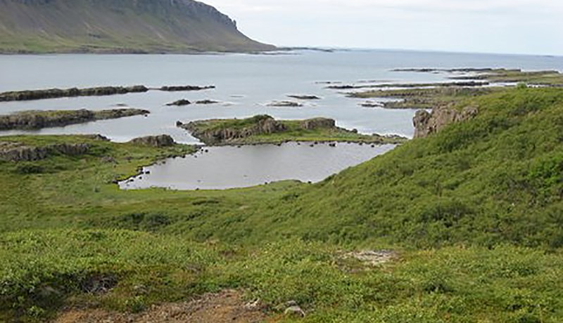 Teigsskógarruglið