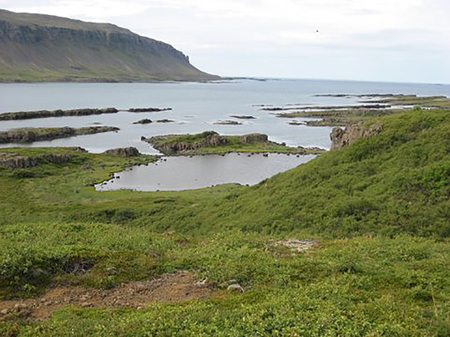 Þorskafjörður og Teigsskógur.