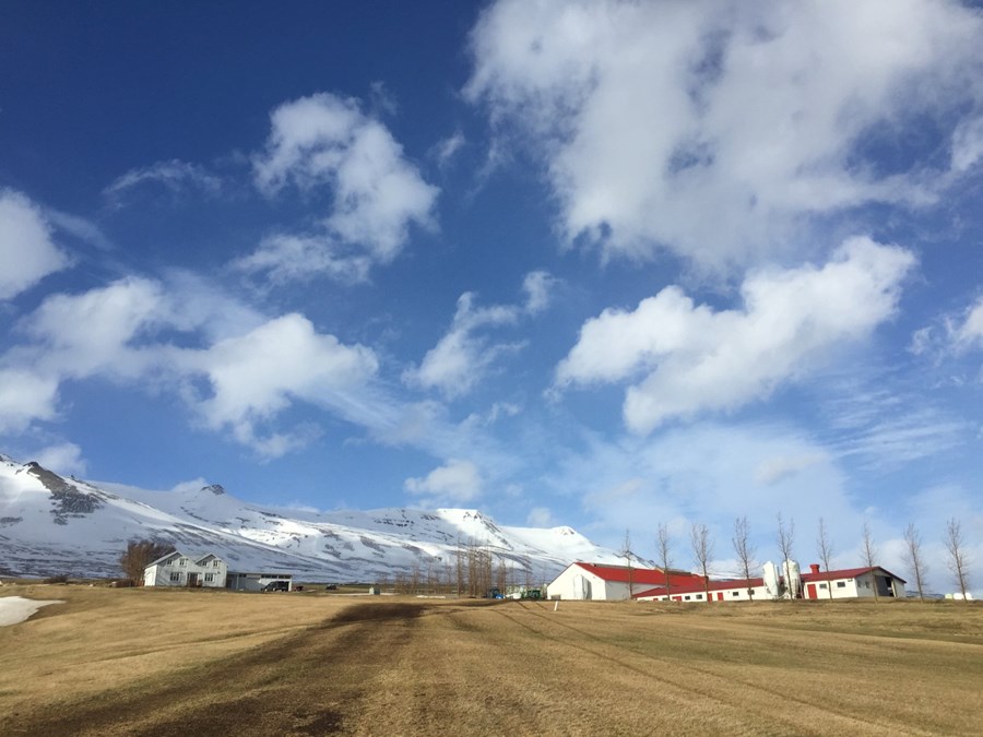 Hranastaðir