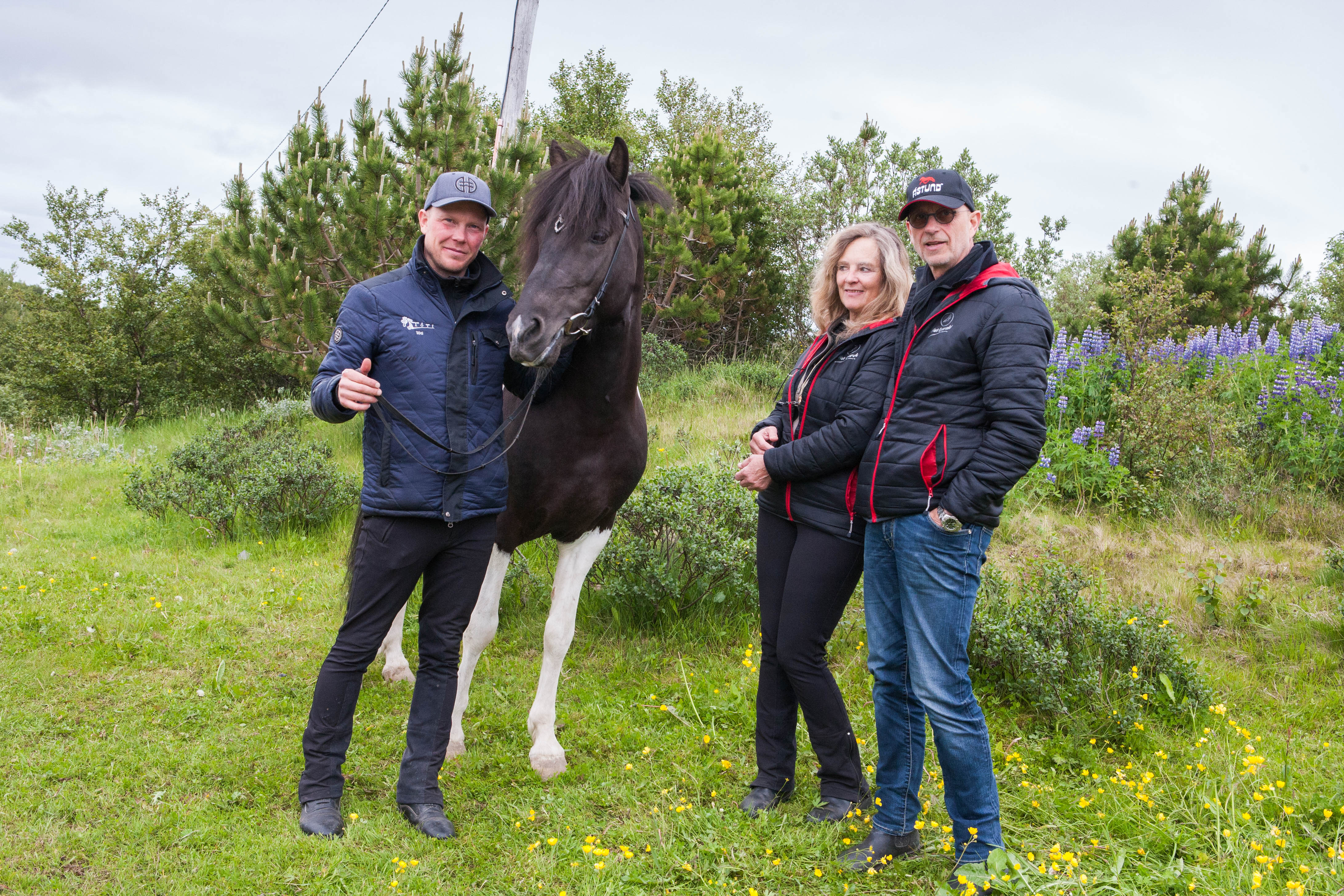 Hestalán hollenskra hjóna