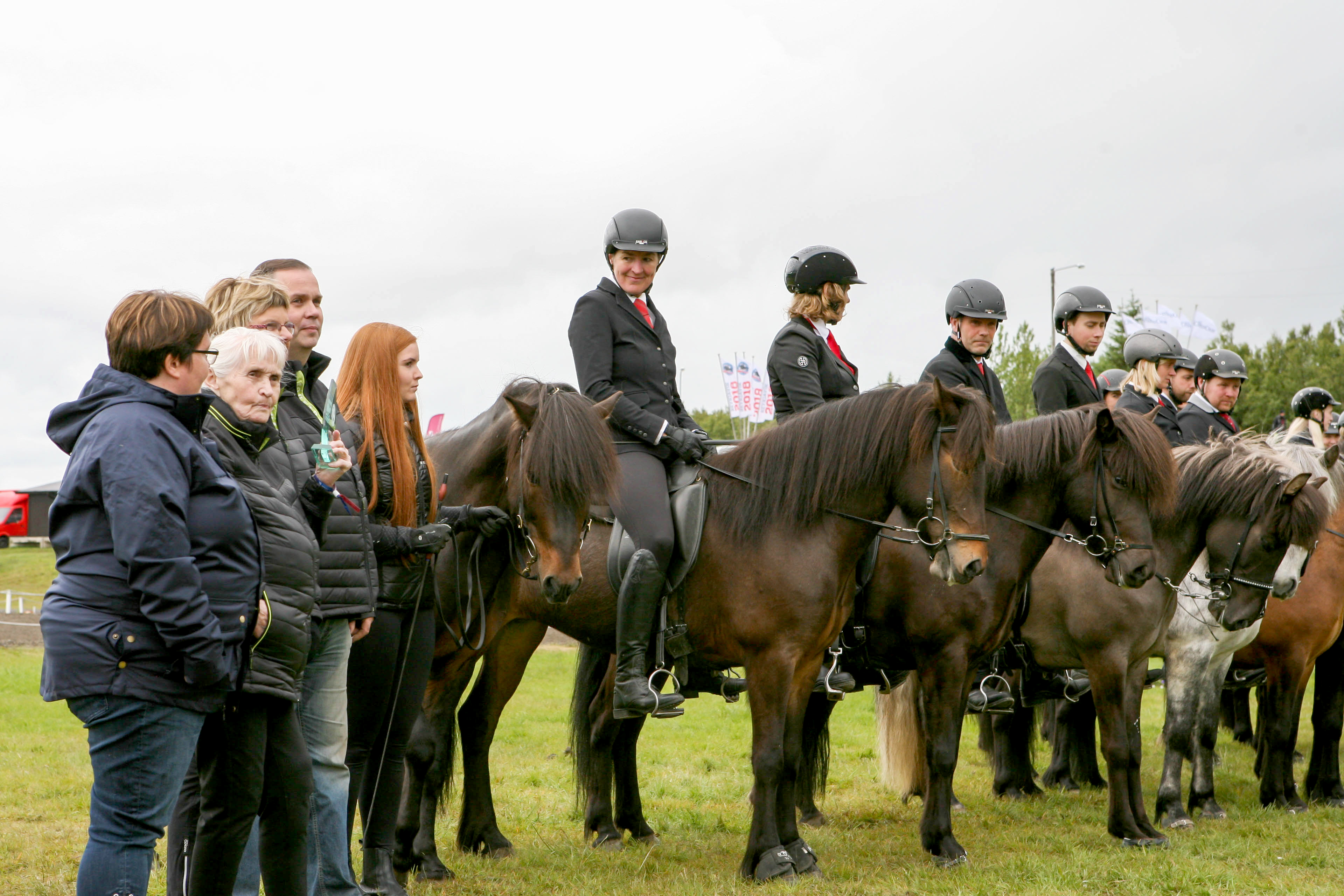 Ný kynslóð afkvæmahesta strax farin að sanna gildi sitt