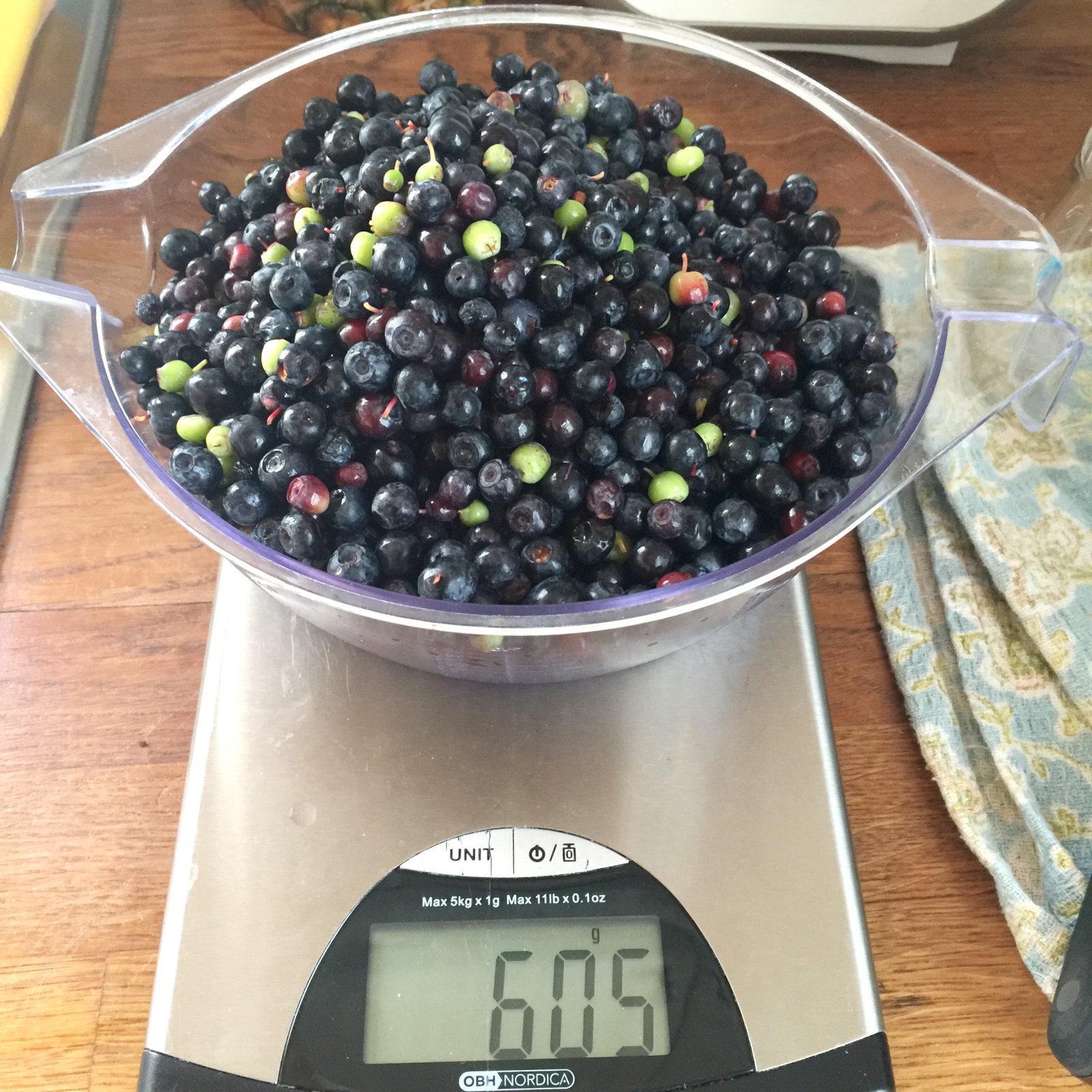 Miklu meira en nóg  af berjum um allt land