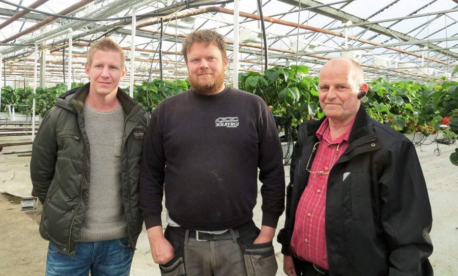 Rob Van Leijsen, Einar Pálsson og Magnús Ágústsson, garðyrkjuráðunautur hjá Ráðgjafarmiðstöð landbúnaðarins.