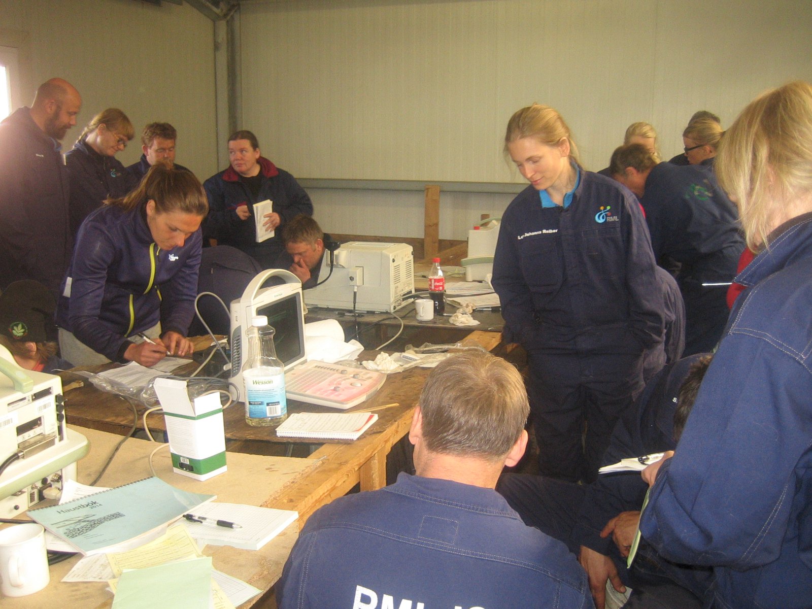 Nokkur hagnýt atriði varðandi sauðfjárskoðun haustið 2015