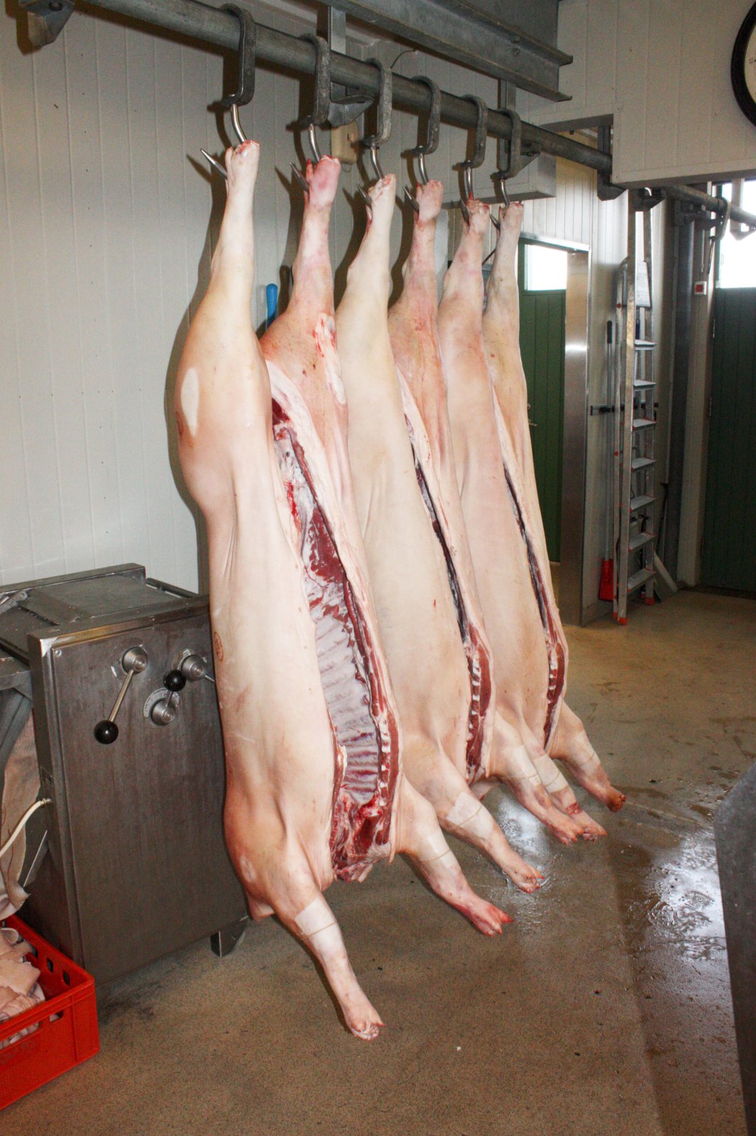 Ríkið endurgreiði Stjörnugrís 39 milljónir með vöxtum vegna álagningar búnaðargjalds