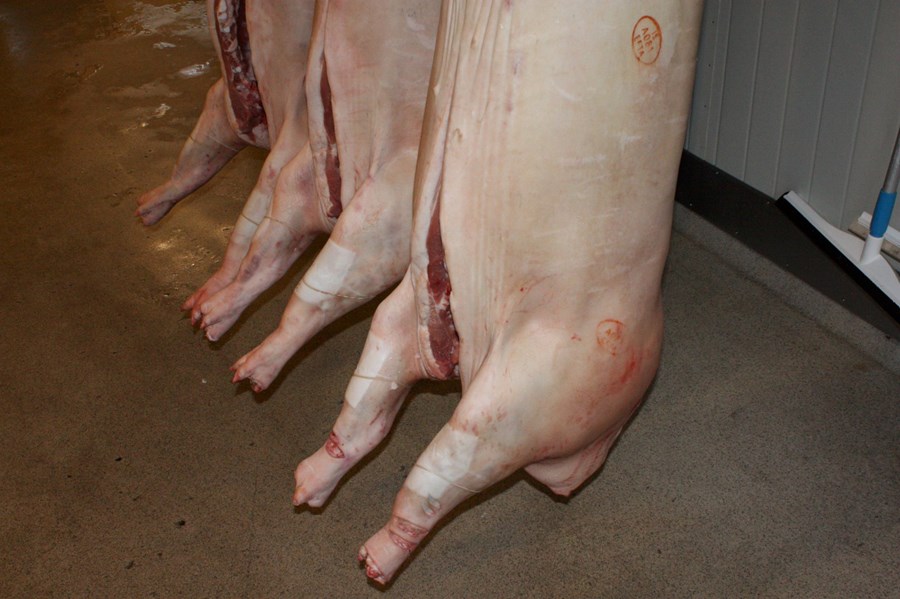 Framleiða vörur í samkeppni við innflutninginn