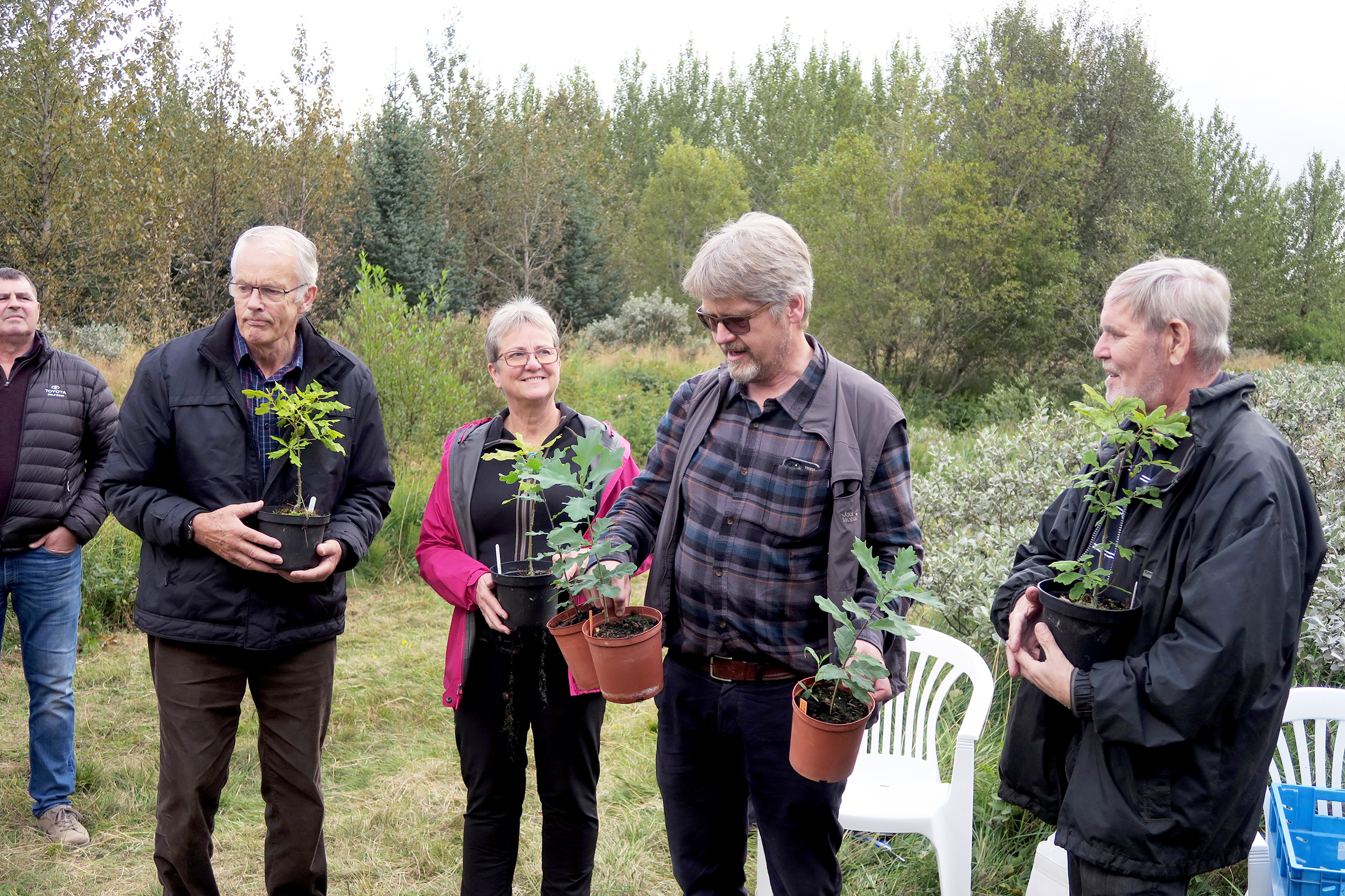 30 ára bændaskógar í Biskupstungum