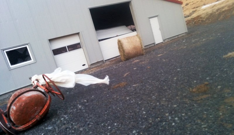 Steinar splundruðu rúðum í útihúsum á Núpi III