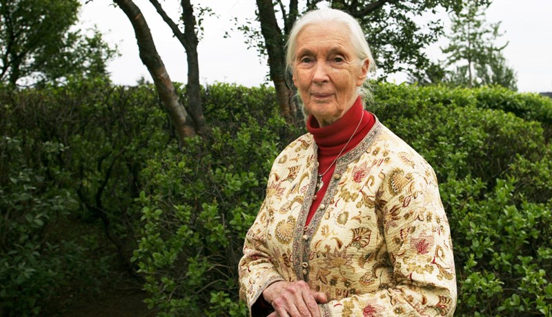 Auka þarf hlut smábýla í framleiðslu matvæla í heiminum