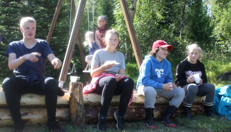 Skógardagur Norðurlands í 70 ára gömlum Kjarnaskógi