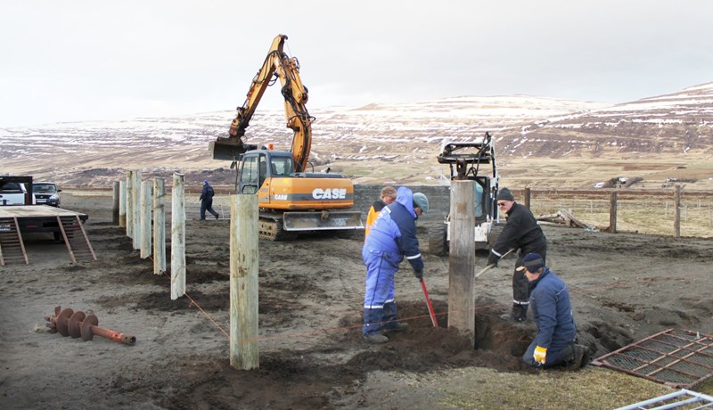 Félagar í Hestamannafélaginu Létti endurbyggja rétt á Kaupangsbökkum