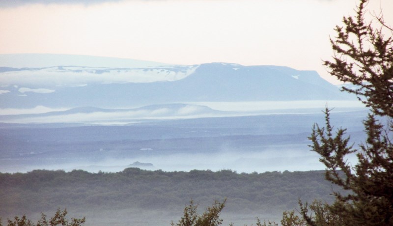 Landsvirkjun og íslenskur iðnaður