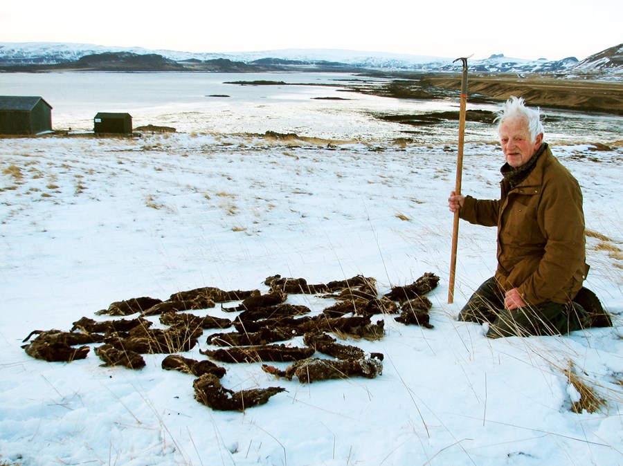 Hreinsun með minkasíum í umsjón Reynis Bergsveinssonar, á tímabilinu júlí 2016 til júlí 2017, virðist vera að skila hátt á sjötta hundrað minka úr 16 sveitarfélögum.