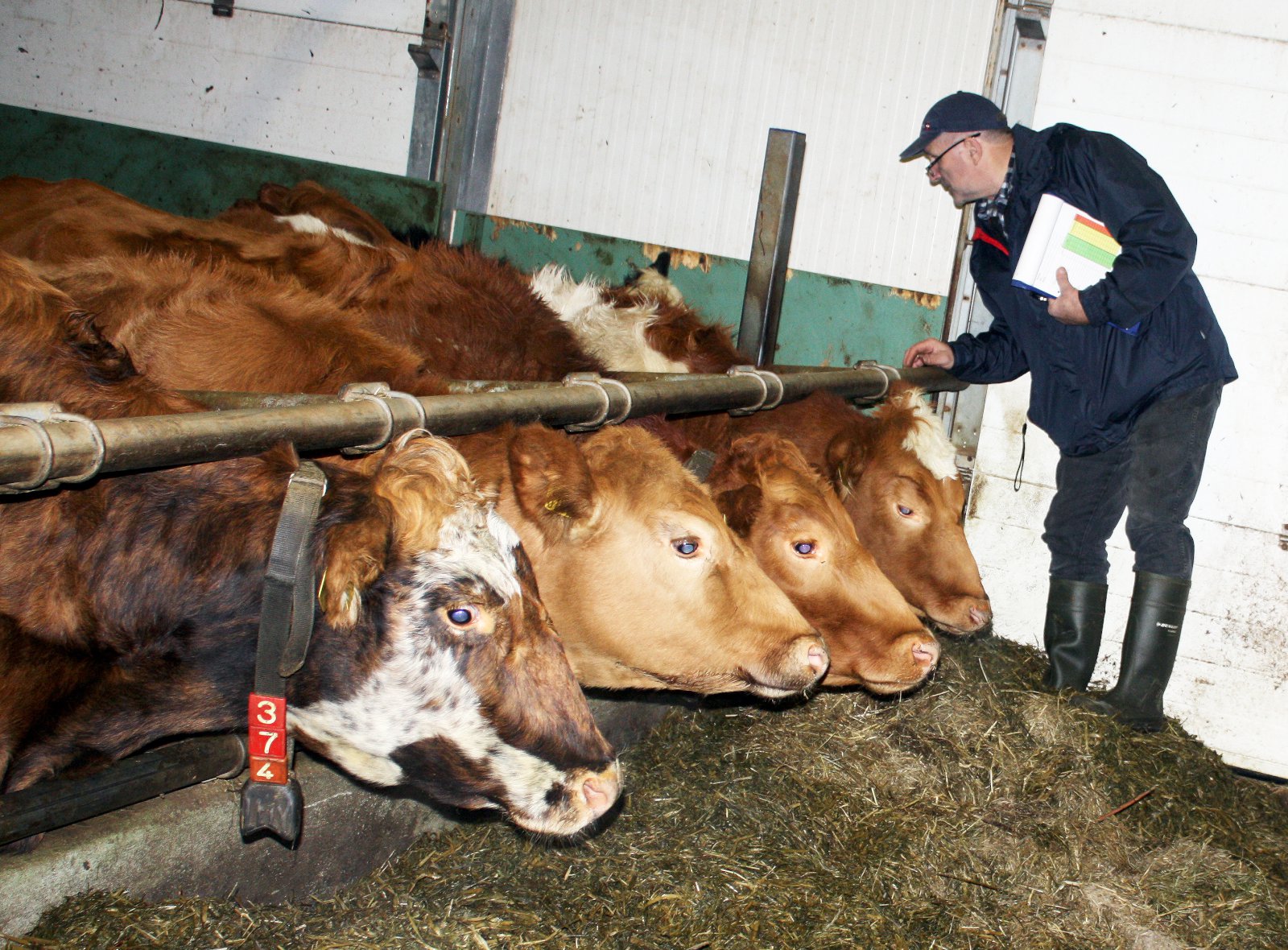 Vinnuslys og forvarnir