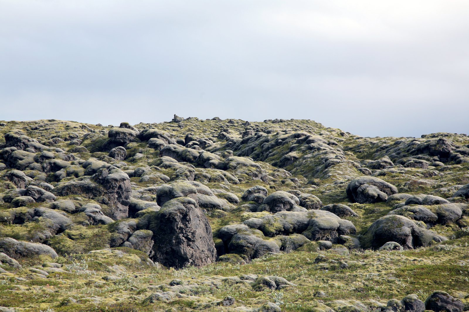 Vísindaskáldskapur Sveins Runólfssonar