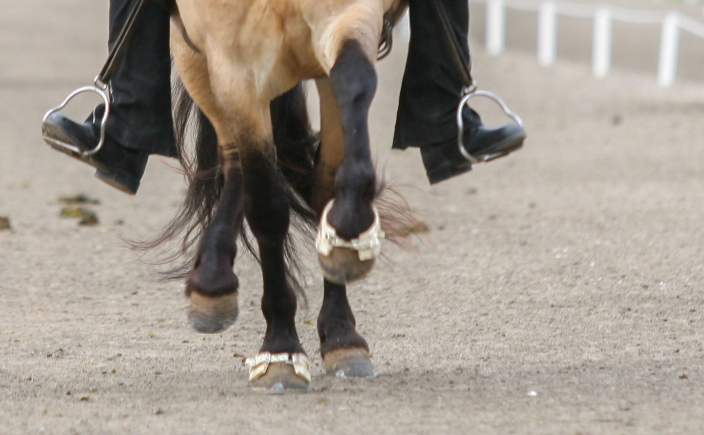 Nýjung í mati á gangtegundum