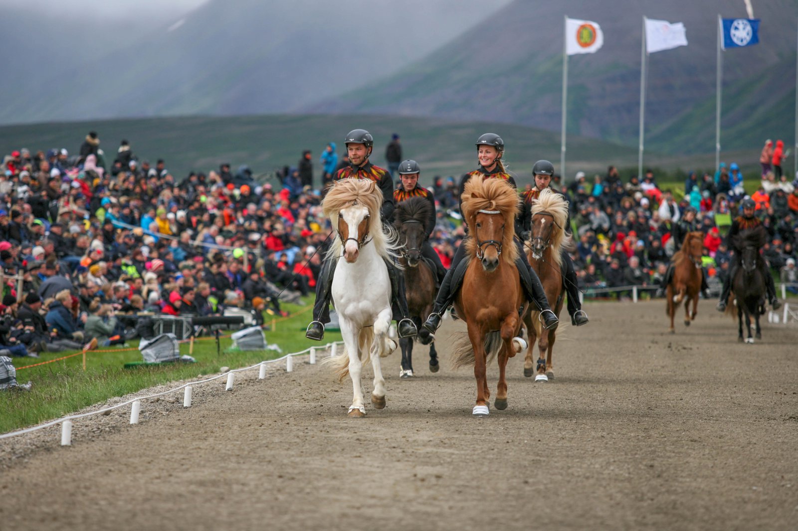 Ræktunarbú ársins í hrossarækt – breyttar reglur