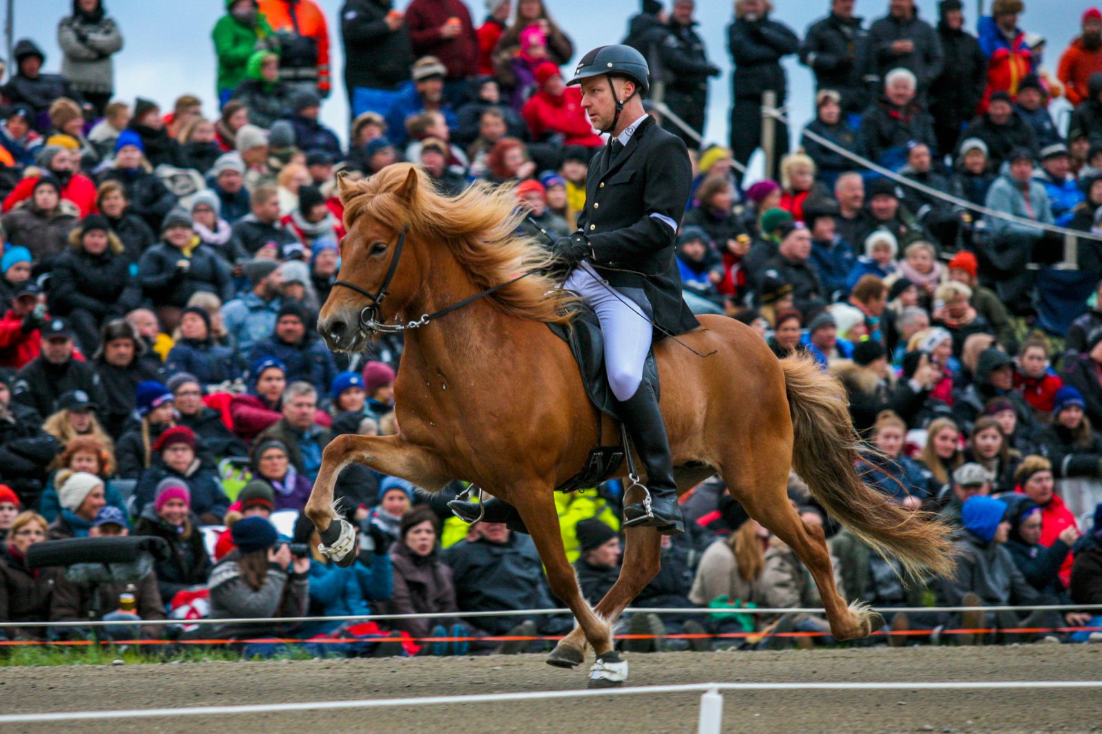 Landslið Íslands kynnt
