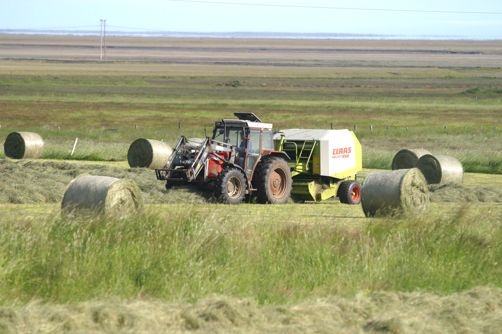 Hvernig gróffóður framleiðir þú