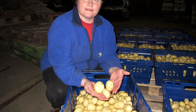 Líkur á góðri kartöfluuppskeru í ár