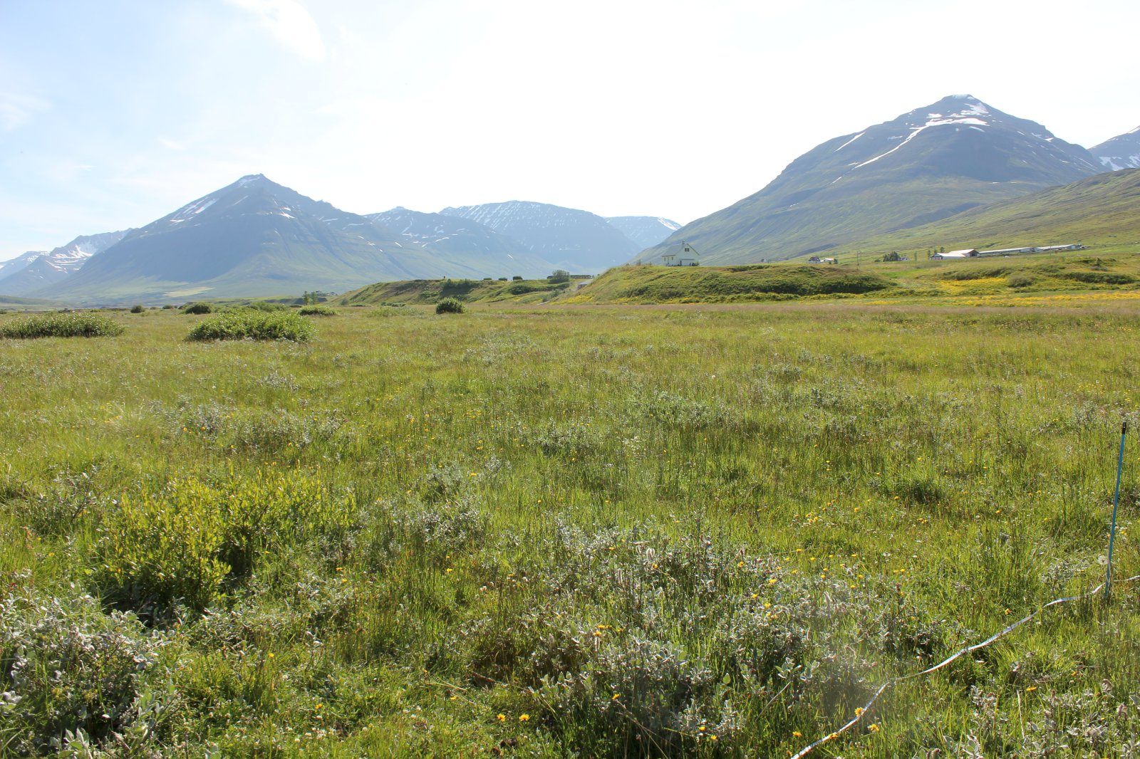 Vistgerðir á Íslandi