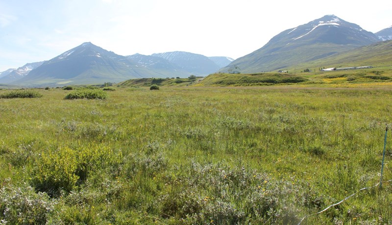 Vistgerðir á Íslandi