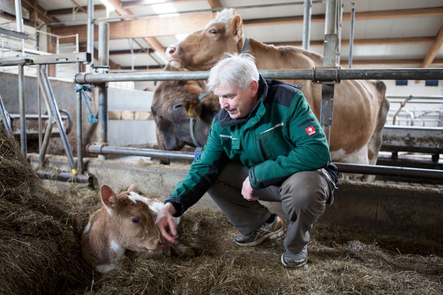 Þorgrímur Einar Guðbjartsson, formaður Beint frá býli.