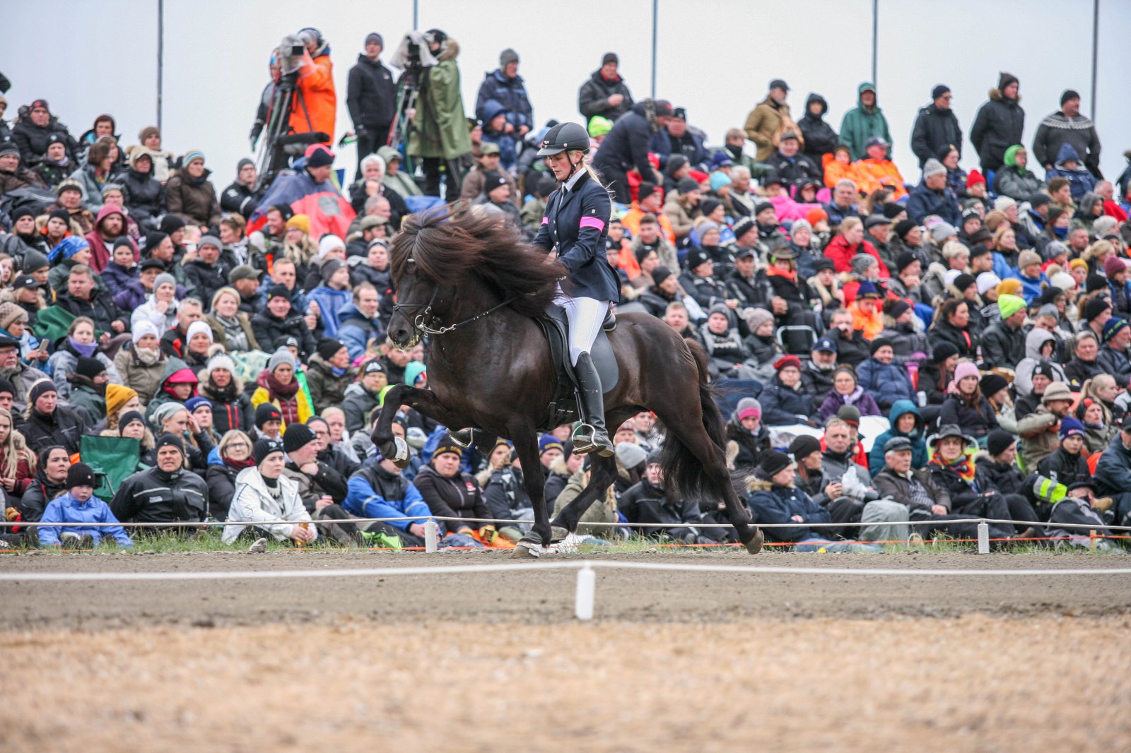 Alls voru 1.268 dómar kveðnir upp á árinu