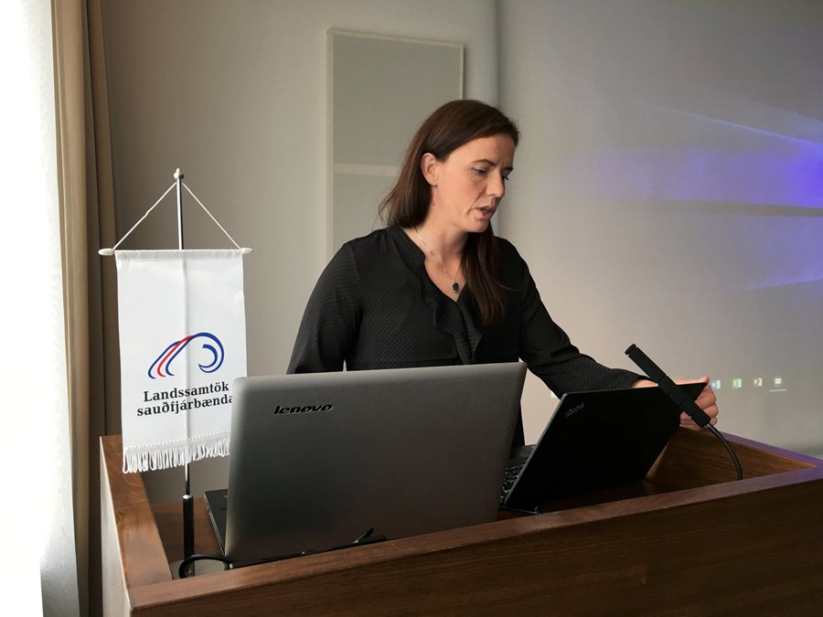 Oddný Steina Valsdóttir, formaður Landssamtaka sauðfjárbænda.