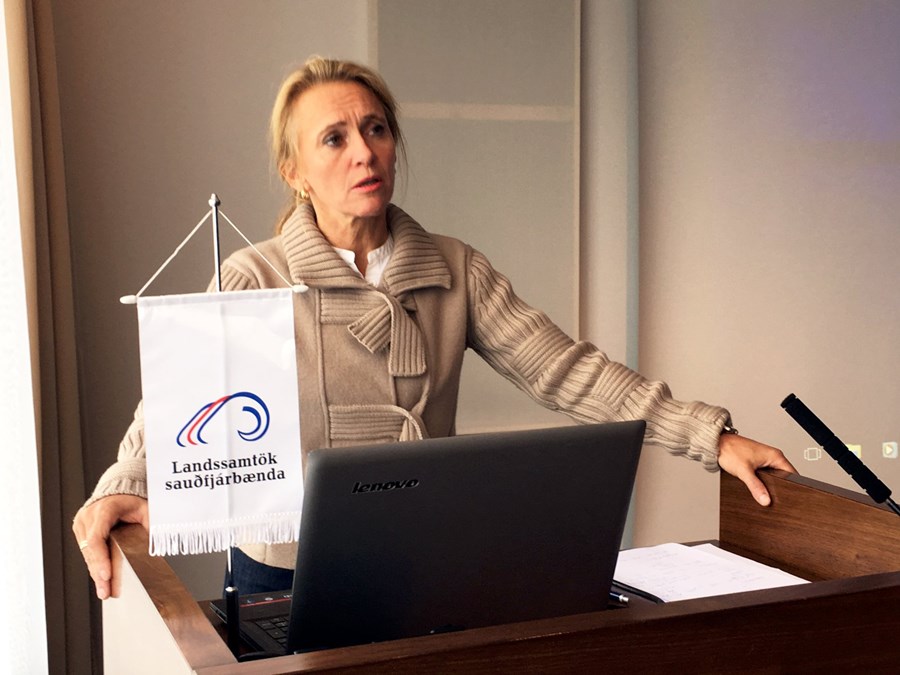 Þorgerður Katrín Gunnarsdóttir landbúnaðarráðherra.