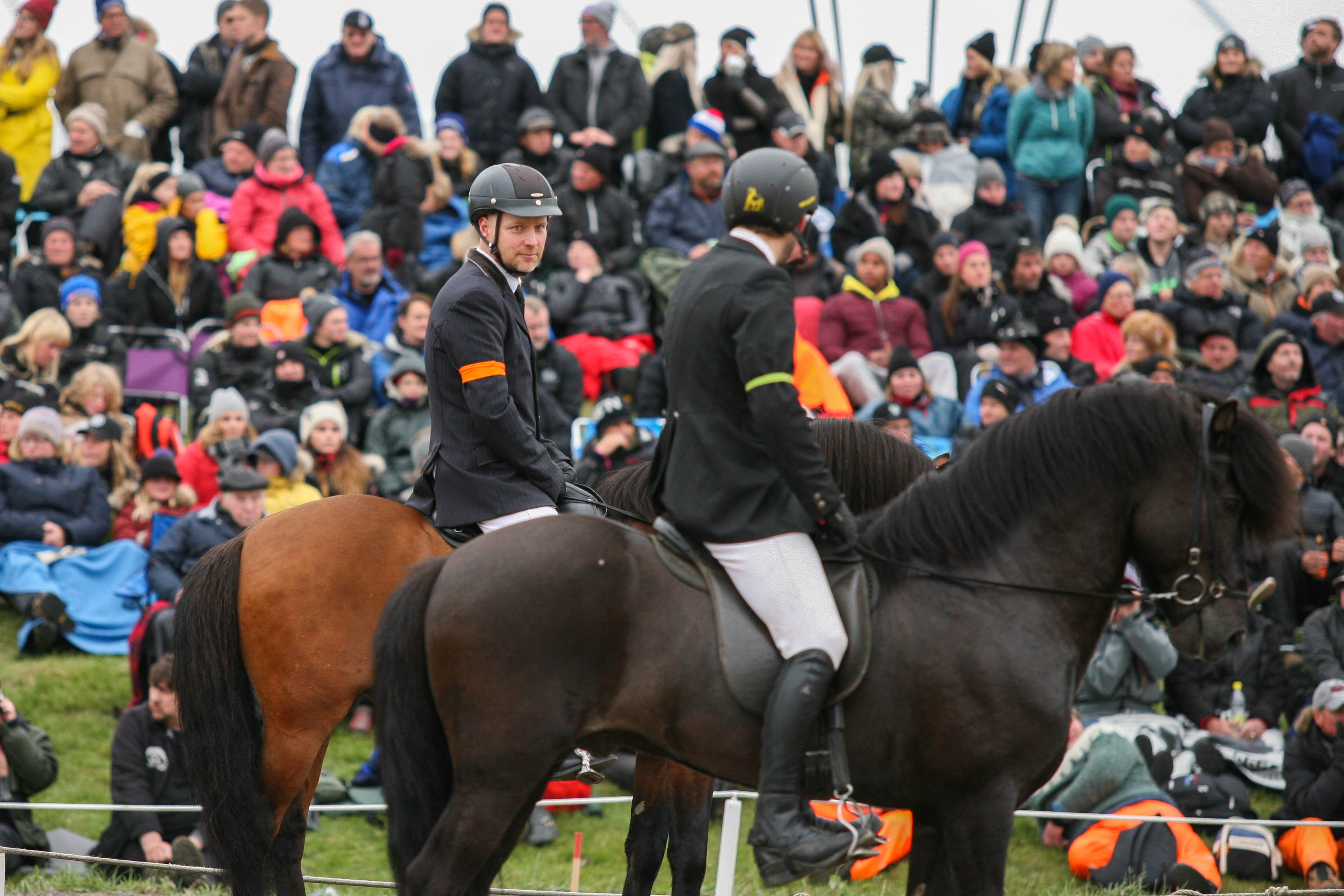 Hestar í höfuðborginni