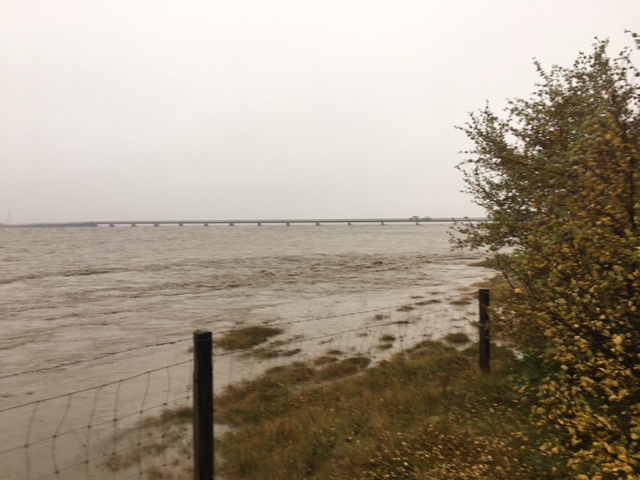 Þyrla Landhelgisgæslunnar leitar að innlyksa fé