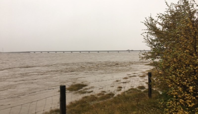 Þyrla Landhelgisgæslunnar leitar að innlyksa fé