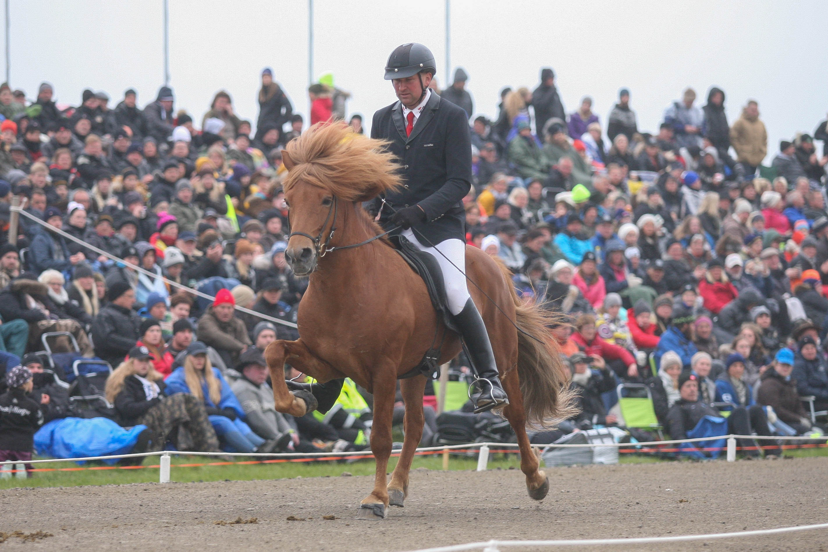 Landsmót hestamanna 2018
