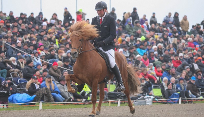 Landsmót hestamanna 2018