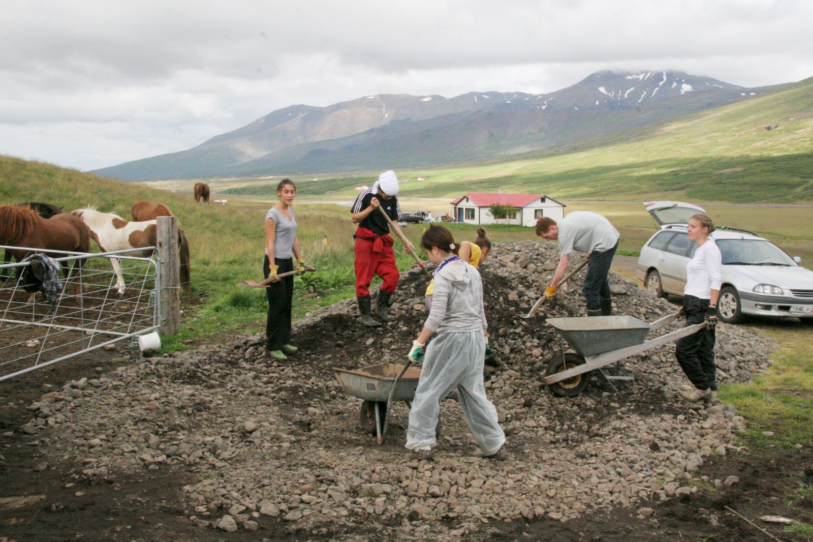 Sjálfboðaliðar í þágu náttúru eru ekki ódýrt vinnuafl