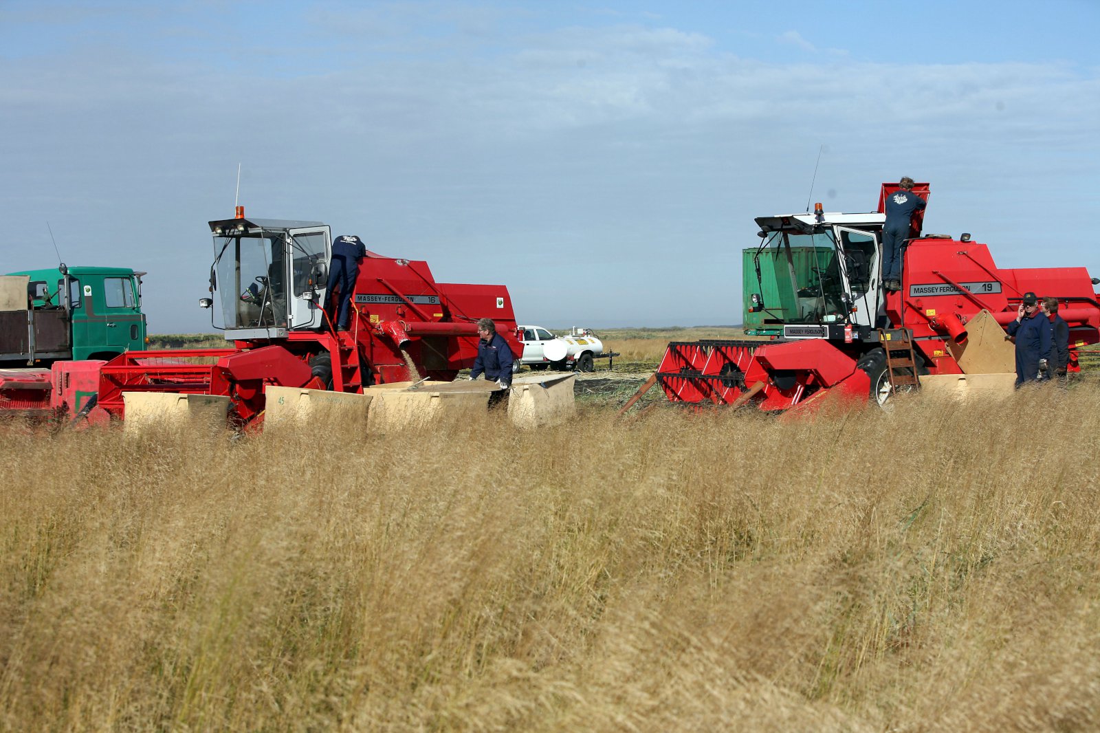 Fræsöfnunargengi Landgræðslunnar á Mýrdalssandi - Myndband