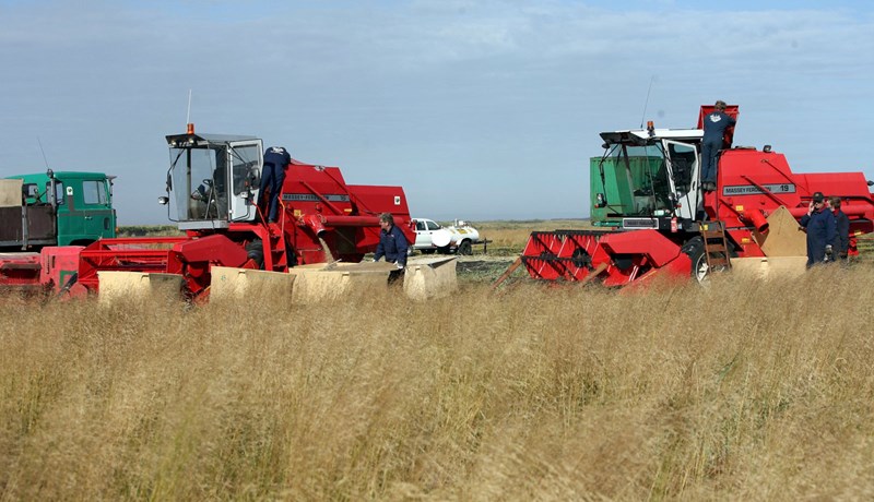 Fræsöfnunargengi Landgræðslunnar á Mýrdalssandi - Myndband