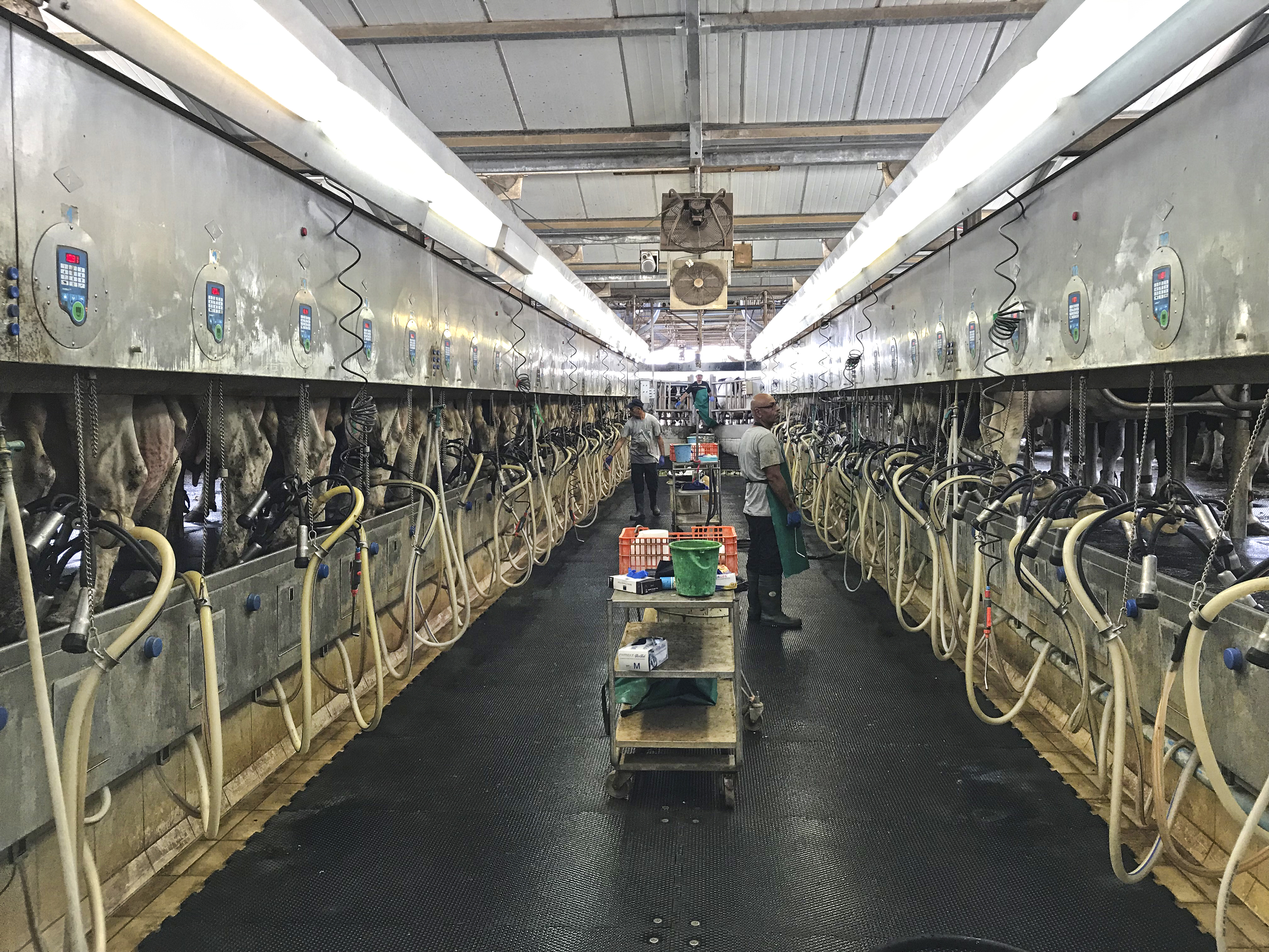 Landbúnaðar- og menningarferð til Ísrael og Palestínu