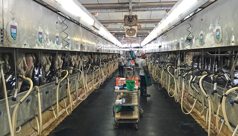 Landbúnaðar- og menningarferð til Ísrael og Palestínu