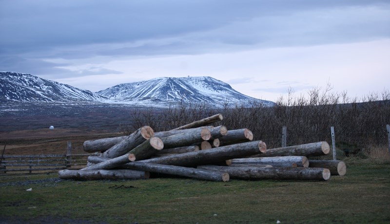 Efling byggðar við Bakkaflóa