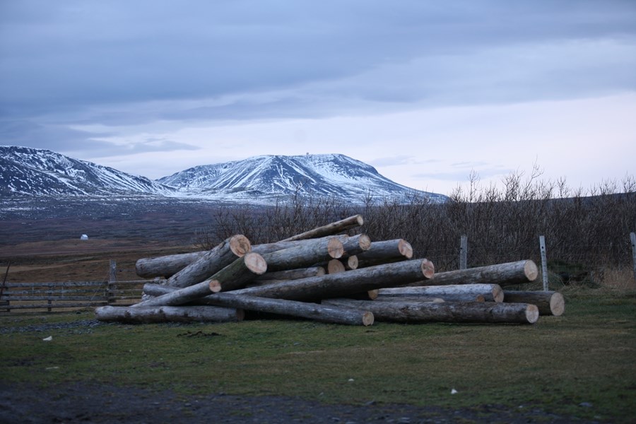 Efling byggðar við Bakkaflóa